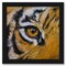 Tiger Eye by Michael Creese Frame  - Americanflat